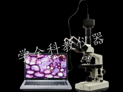 数码显微镜