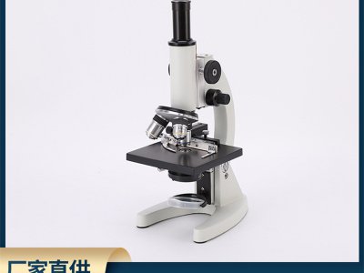 光学电子显微镜